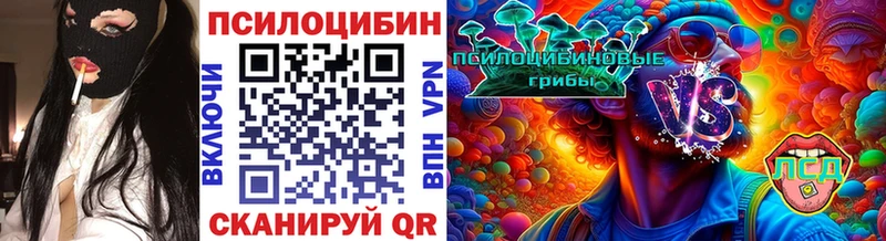 где продают наркотики  Ачинск  Псилоцибиновые грибы Psilocybine cubensis 